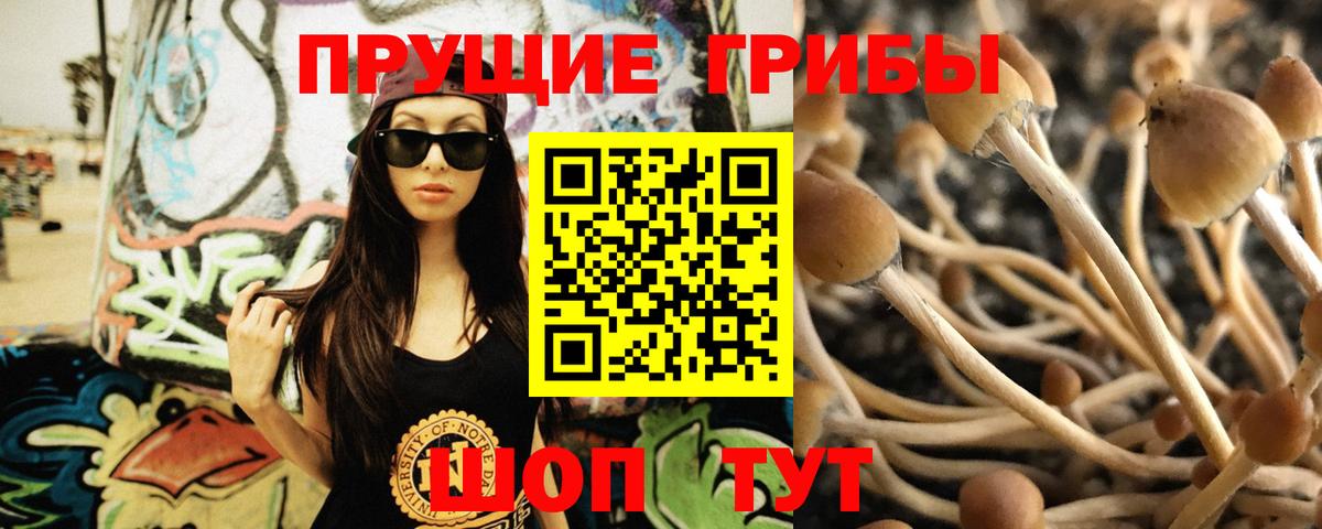 Псилоцибиновые грибы мицелий Нижнекамск