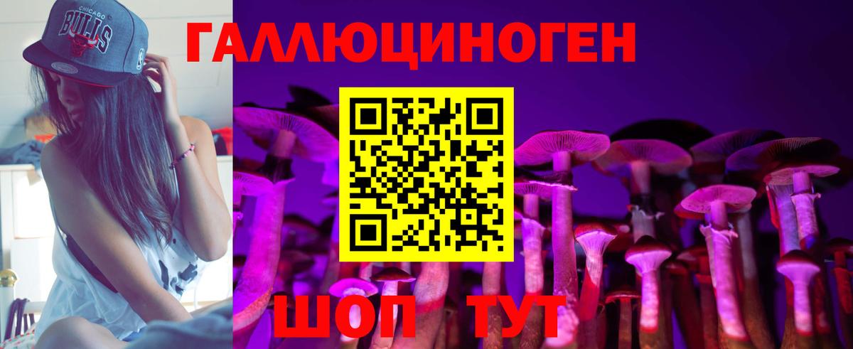 Псилоцибиновые грибы Psilocybe  Вход с VPN  Псилоцибиновые грибы прущие грибы  Нижнекамск 
